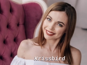 Krissbird