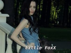 Little_FoxX