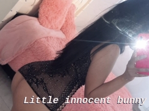 Little_innocent_bunny