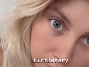 Littlesary