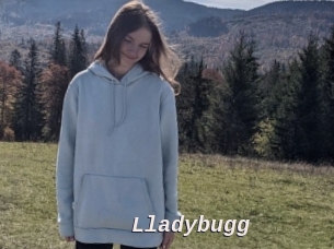 Lladybugg