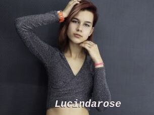 Lucindarose