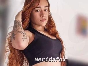 Meridafox