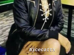 Nicecattx