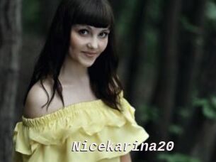 Nicekarina20