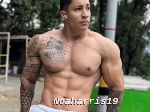 Noaharris19