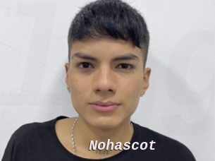 Nohascot