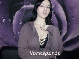 Noraspirit