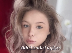 Odelindafugler