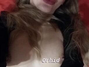 orhid Live Camgirls Sex