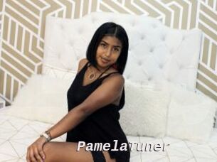 PamelaTuner