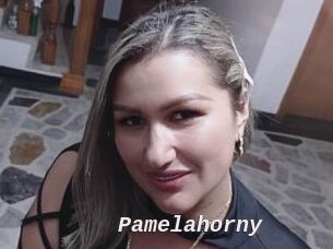 Pamelahorny