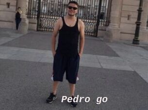 Pedro_go