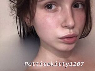 Pettitekitty1107