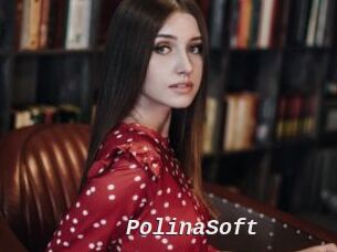 PolinaSoft