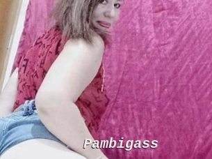 Pambigass