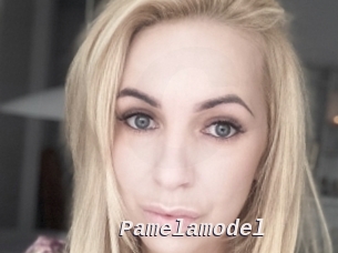 Pamelamodel