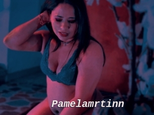 Pamelamrtinn