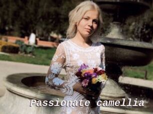 Passionate_camellia