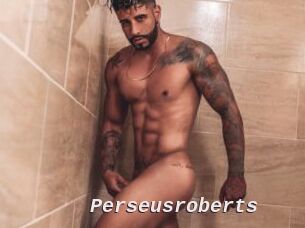 perseusroberts Live Camgirls Sex