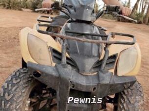 Pewnis