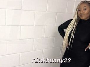 Pinkbunny22