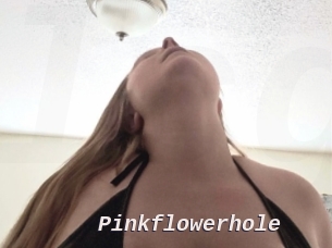 Pinkflowerhole