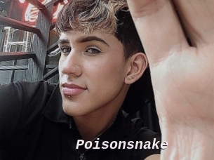 Poisonsnake