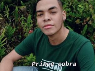 Prince_cobra