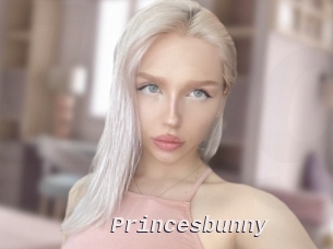 Princesbunny