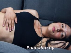 Puccahorny