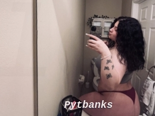 Pytbanks