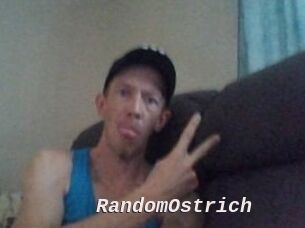 RandomOstrich