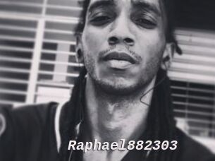 Raphael882303