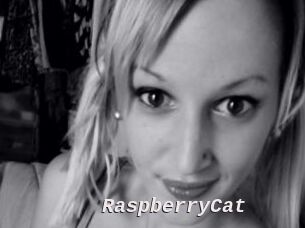 RaspberryCat