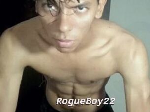 RogueBoy22