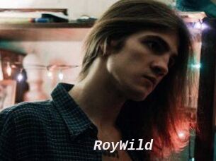 RoyWild