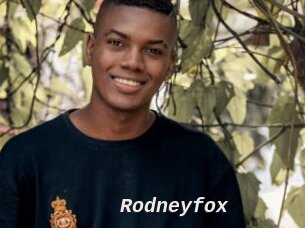 Rodneyfox