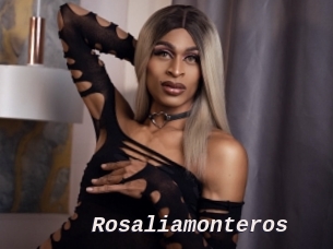 Rosaliamonteros