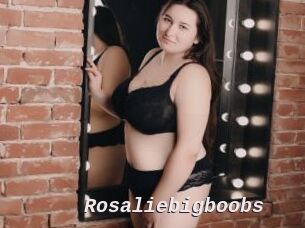 Rosaliebigboobs