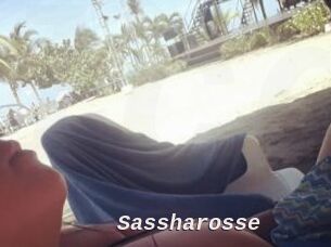 Sassharosse