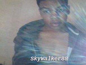 SkyWalker88