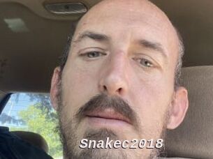 Snakec2018