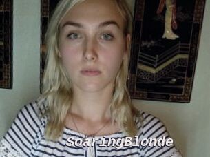 SoaringBlonde