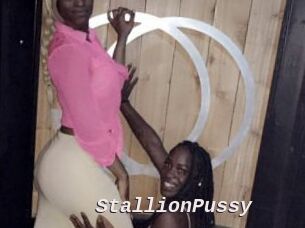 StallionPussy