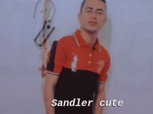 Sandler_cute