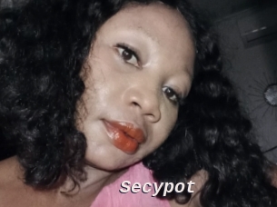 Secypot