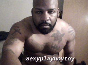 Sexyplayboytoy