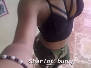 Sharlot_bunny