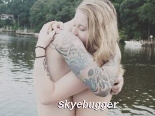 Skyebugger